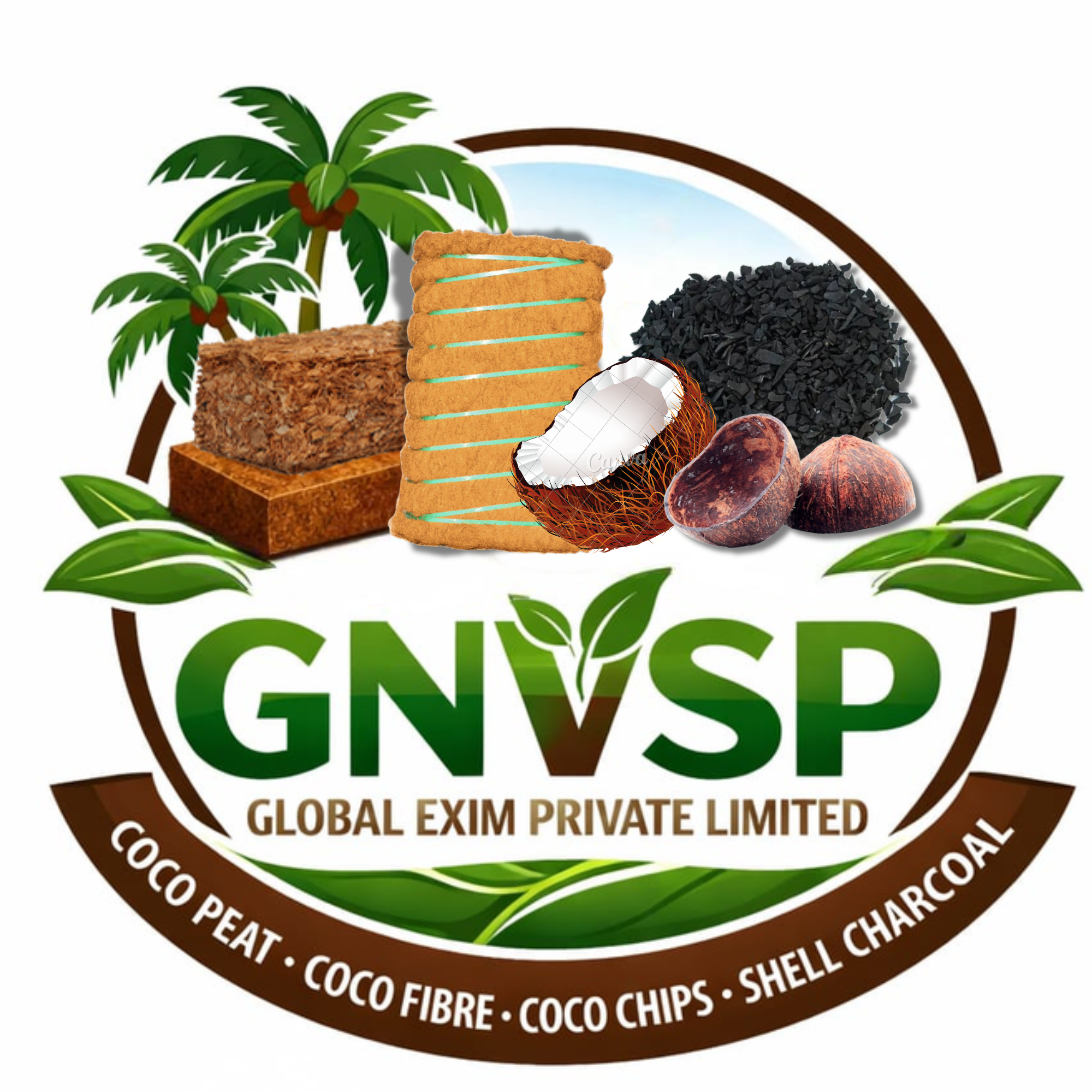 GNSVP Logo